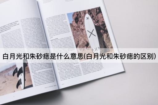 白月光和朱砂痣是什么意思(白月光和朱砂痣的区别)