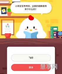 企鹅的翅膀是用来干什么的(企鹅有没有翅膀)