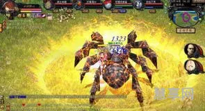 魔域蜘蛛皇后(手游魔域蜘蛛皇后刷在什么地图上)