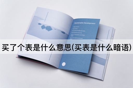 买了个表是什么意思(买表是什么暗语)