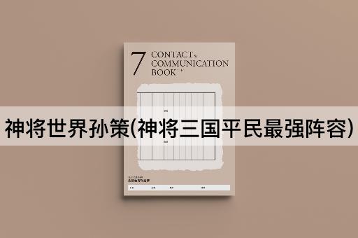 神将世界孙策(神将三国平民最强阵容)