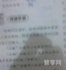 眉目的比喻义(眉目的比喻意思是什么)