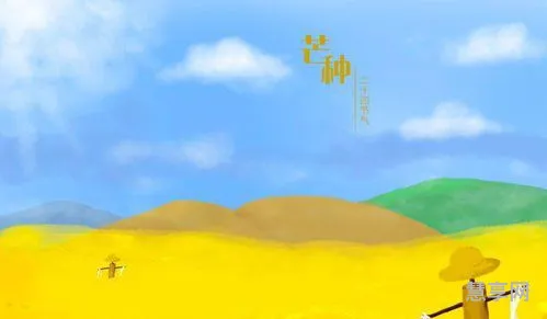 芒种的美好寓意(芒种是什么意思含义)