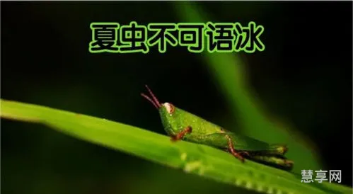 夏虫不可以语冰(女生发朋友圈说夏虫不可语冰)