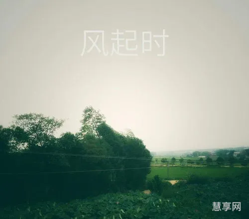 大风起兮云飞扬的意思(大风歌表达了什么情感)