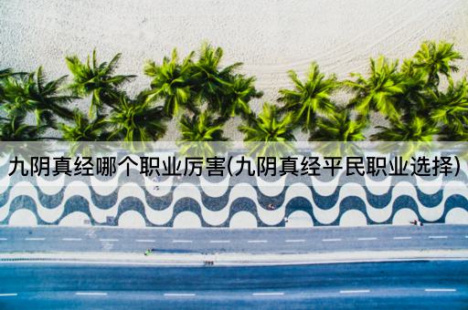 九阴真经哪个职业厉害(九阴真经平民职业选择)