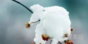小雪节气吃什么(今日小雪吃什么最好)