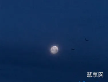 辞旧迎新文案(2023年辞旧迎新金句)