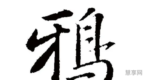 脉组词和拼音(脉的多音字组词语有哪些)