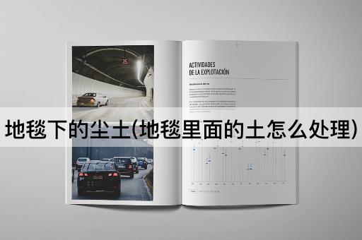 地毯下的尘土(地毯里面的土怎么处理)