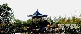 厦门园博园门票(厦门旅游攻略自由行最佳线路5天)