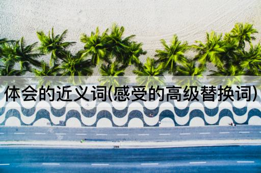 体会的近义词(感受的高级替换词)