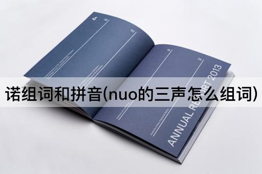 诺组词和拼音(nuo的三声怎么组词)