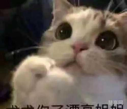 逗女生开心的幽默套路(聊天大全幽默搞笑)