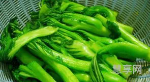 芥菜的腌制方法(自家腌制咸菜做法大全)