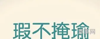 瑕不掩瑜造句(瑕不掩瑜的意思解释)