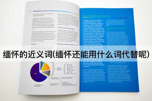 缅怀的近义词(缅怀还能用什么词代替呢)