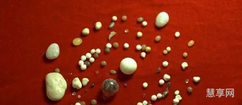 舍利是什么东西(舍利子图片)