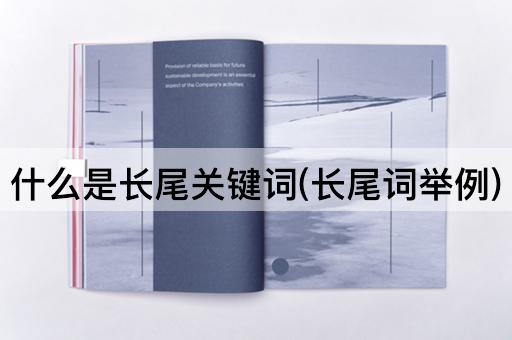 什么是长尾关键词(长尾词举例)