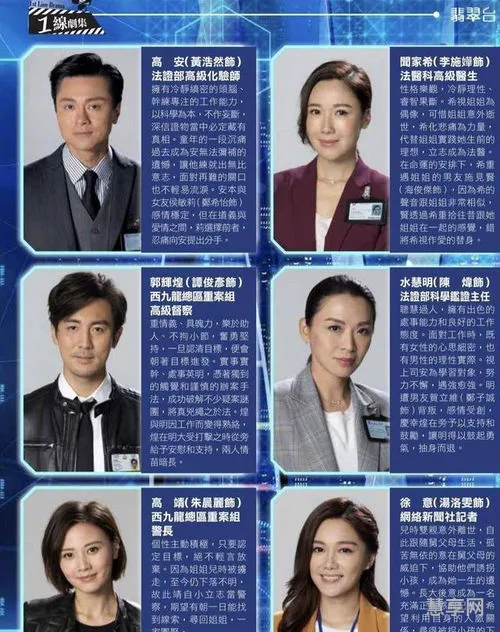 法证先锋4什么时候出(哪里可以看法证先锋4)