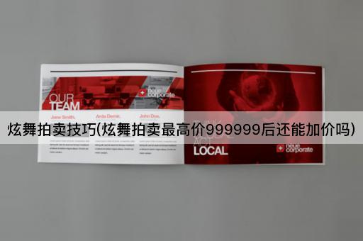 炫舞拍卖技巧(炫舞拍卖最高价999999后还能加价吗)