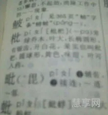 田字旁加井念什么(田井合起来怎么读)