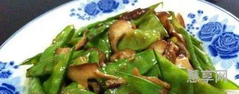 素菜菜谱家常菜做法(素菜大全100道炒菜)