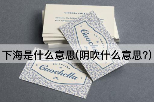 下海是什么意思(阴吹什么意思?)