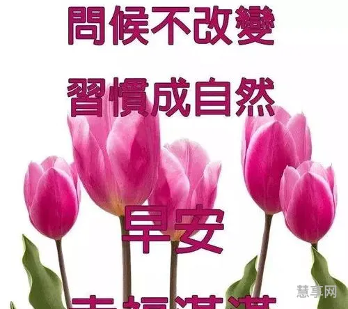 早上好祝福语(一天一个祝福语)