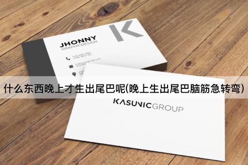 什么东西晚上才生出尾巴呢(晚上生出尾巴脑筋急转弯)