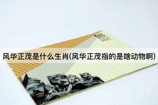 风华正茂是什么生肖(风华正茂指的是啥动物啊)