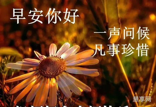 阳光正能量的句子