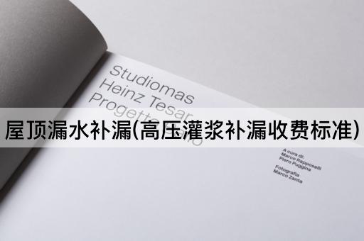 屋顶漏水补漏(高压灌浆补漏收费标准)