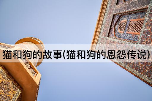猫和狗的故事(猫和狗的恩怨传说)