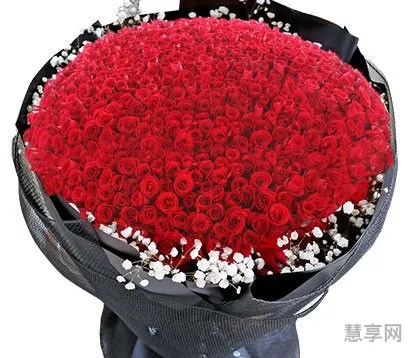 999朵玫瑰多少钱(999支红玫瑰图片)