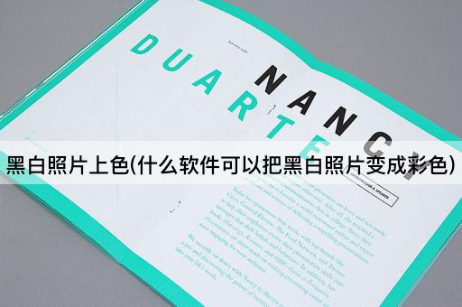 黑白照片上色(什么软件可以把黑白照片变成彩色)