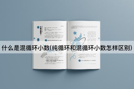 什么是混循环小数(纯循环和混循环小数怎样区别)