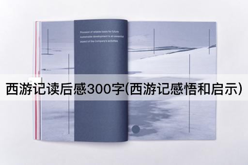 西游记读后感300字(西游记感悟和启示)