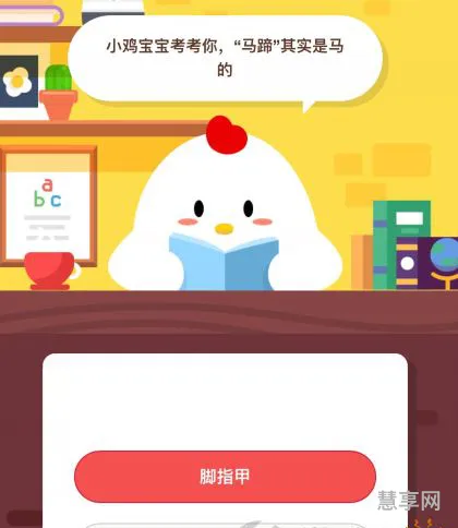 马蹄是马的指甲还是脚丫子(马蹄有几个脚趾)