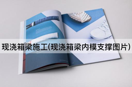 现浇箱梁施工(现浇箱梁内模支撑图片)