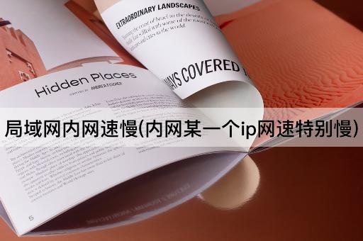 局域网内网速慢(内网某一个ip网速特别慢)
