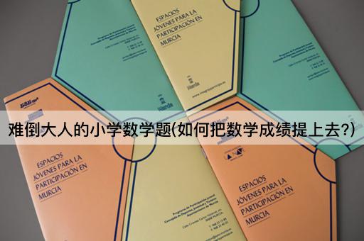 难倒大人的小学数学题(如何把数学成绩提上去?)