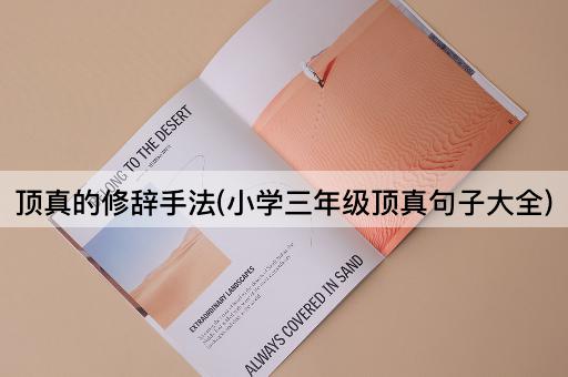 顶真的修辞手法(小学三年级顶真句子大全)