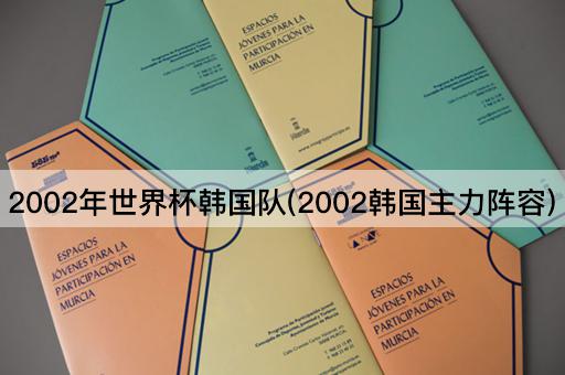2002年世界杯韩国队(2002韩国主力阵容)