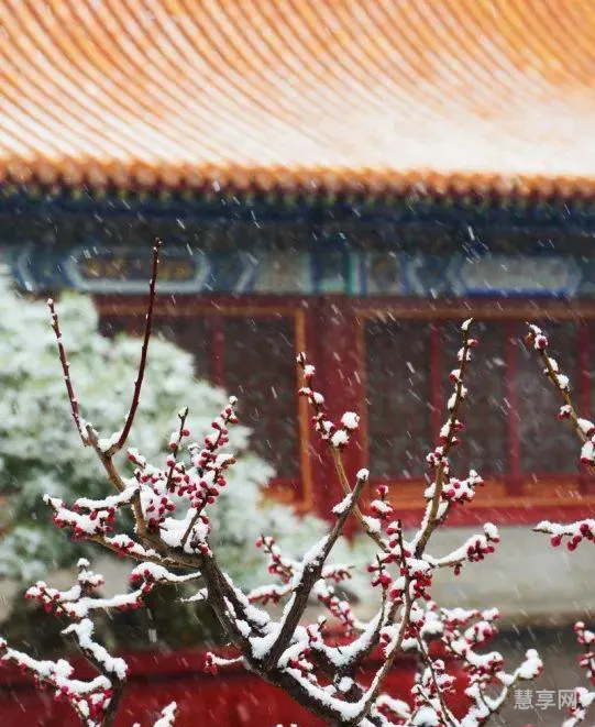 今我来思雨雪霏霏(雨雪霏霏的含义是什么)