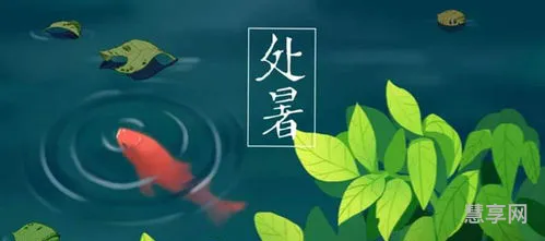2020年处暑(2020处暑还有几天)