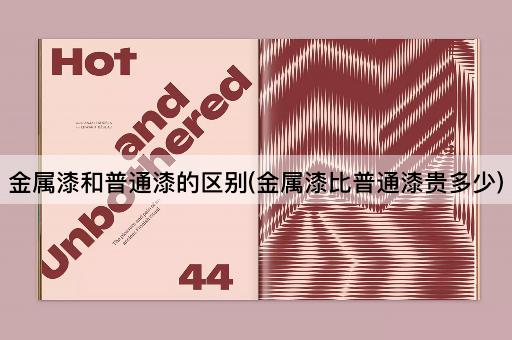 金属漆和普通漆的区别(金属漆比普通漆贵多少)