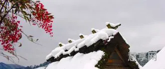 雪是怎么形成的(雪的形成原理)