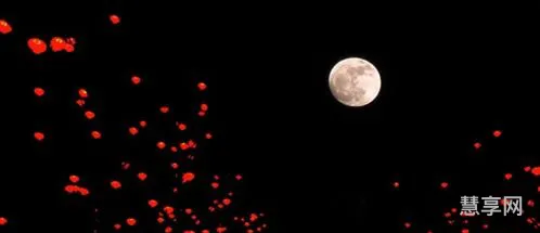 众星拱月的意思(众星拱月在文中比喻什么)