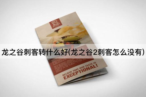 龙之谷刺客转什么好(龙之谷2刺客怎么没有)